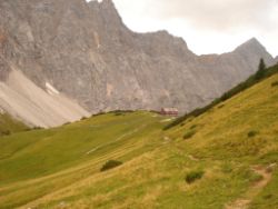2013-09-08_6Falkenh-Steinfalk (004).JPG